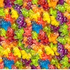 image:imageHARIBO Gummi Candy FizzyCola Gummy Candy Soda Bottles 5 Ounce Share Size Bags Pack of 12 Delicious Soft amp Chewy Sweet Snacks Sour amp Tangy Cola FlavorUnicornilicious