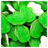 image:imageHARIBO Gummi Candy FizzyCola Gummy Candy Soda Bottles 5 Ounce Share Size Bags Pack of 12 Delicious Soft amp Chewy Sweet Snacks Sour amp Tangy Cola FlavorFrogs